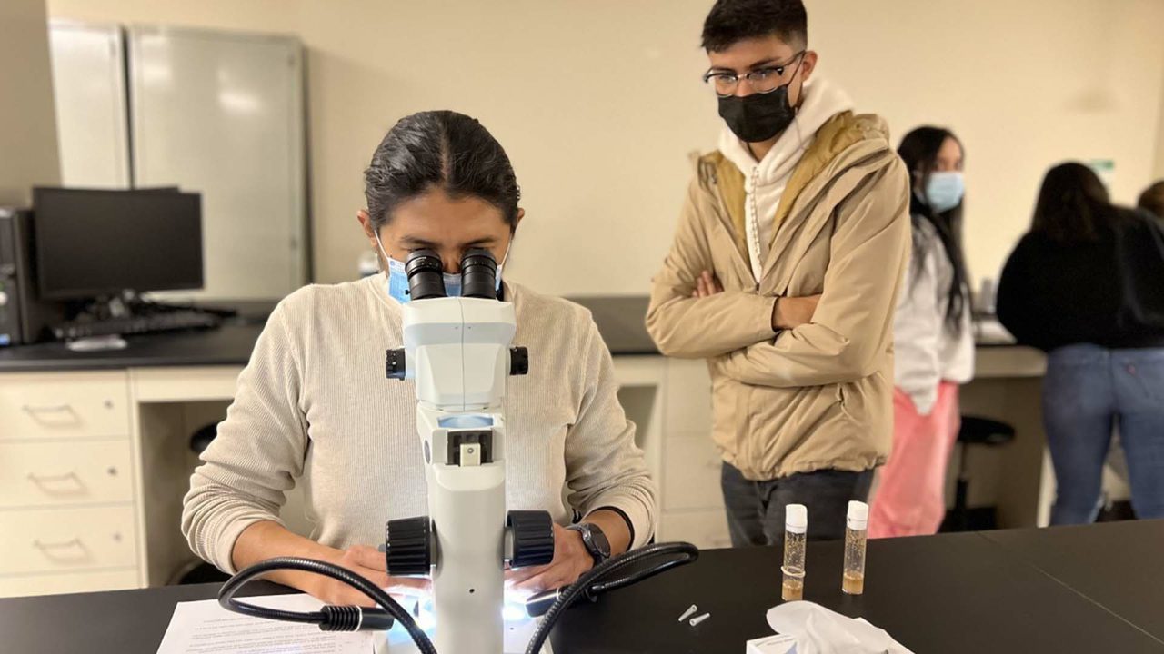 masked woman peers through microscope as masked man looks on